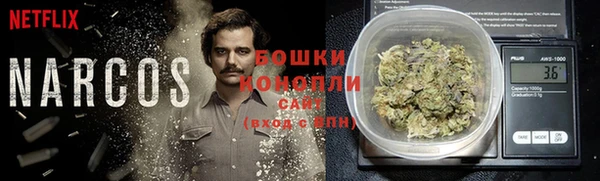 соль ск Верхний Тагил