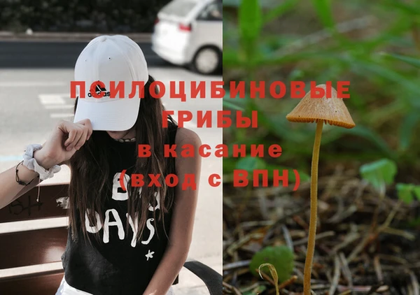 2c-b Верхнеуральск